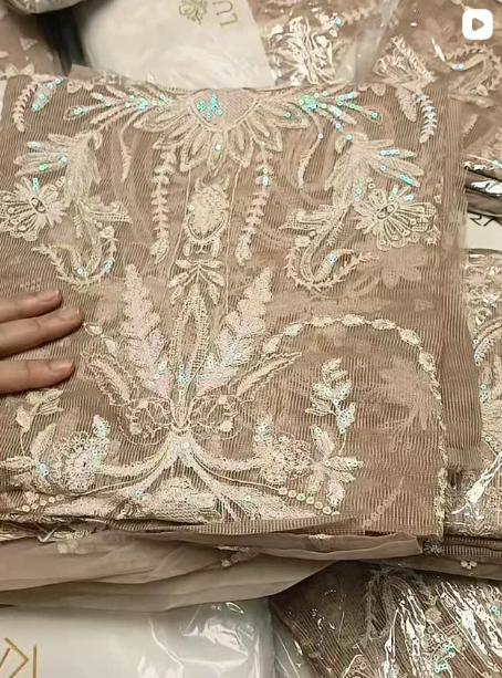 LUSH BY RRIYAZ ARTS 2PCS KHAADI NET SUIT