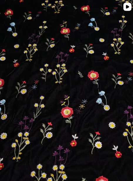2PC VELVET EMBROIDED DRESS